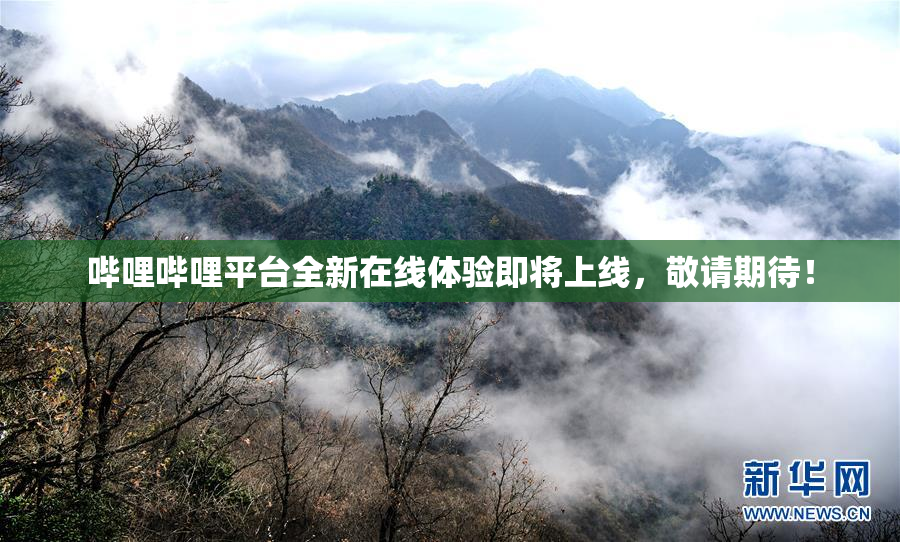 哔哩哔哩平台全新在线体验即将上线，敬请期待！