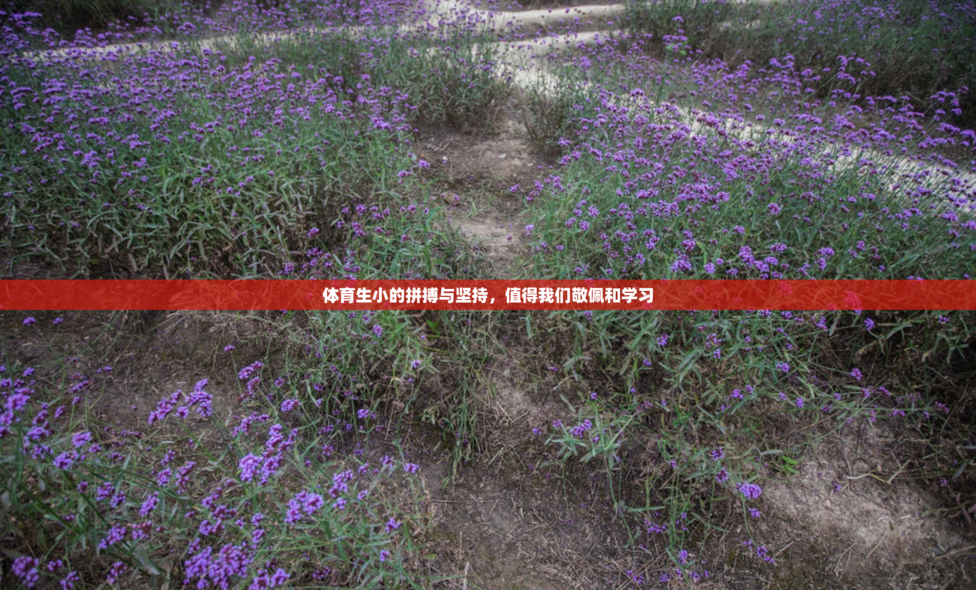 体育生小的拼搏与坚持，值得我们敬佩和学习