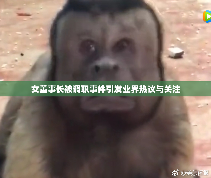 女董事长被调职事件引发业界热议与关注
