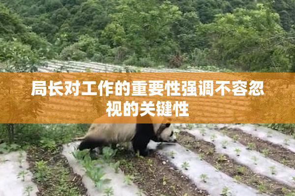 局长对工作的重要性强调不容忽视的关键性