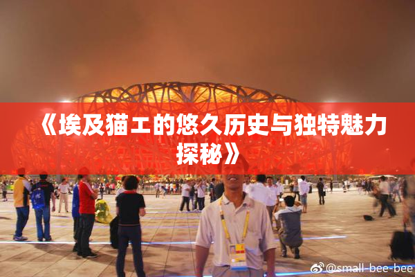 《埃及猫エ的悠久历史与独特魅力探秘》