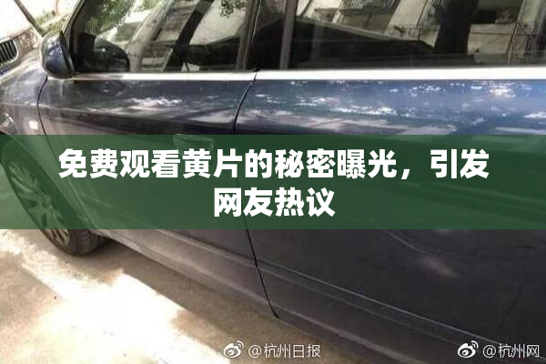 免费观看黄片的秘密曝光，引发网友热议