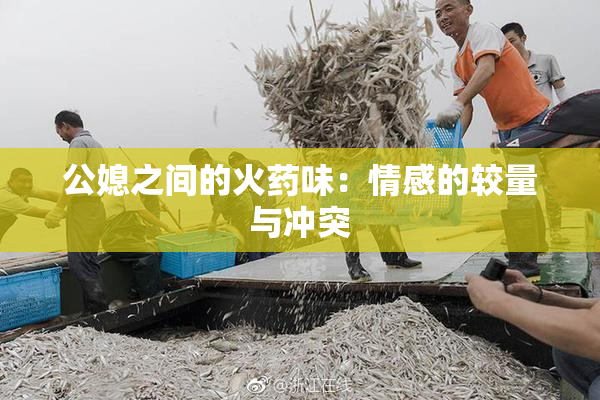 公媳之间的火药味：情感的较量与冲突
