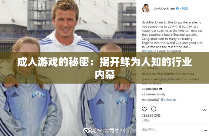 成人游戏的秘密：揭开鲜为人知的行业内幕