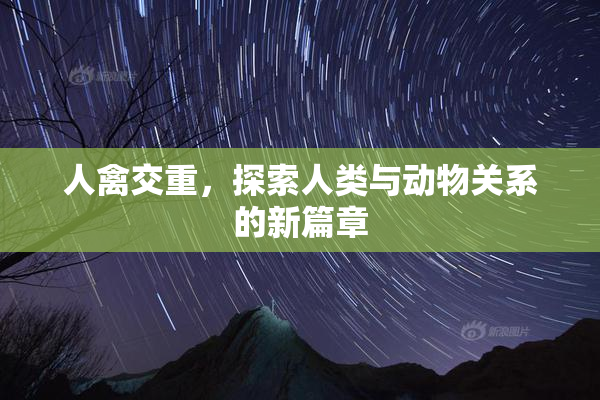 人禽交重，探索人类与动物关系的新篇章