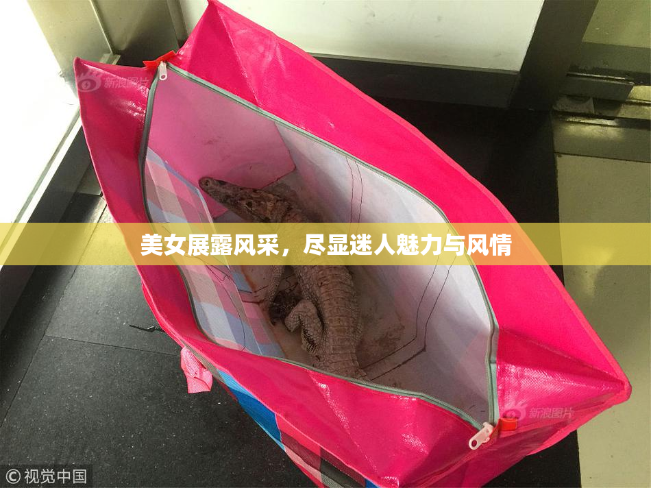 美女展露风采，尽显迷人魅力与风情