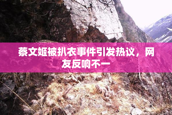 蔡文姬被扒衣事件引发热议，网友反响不一