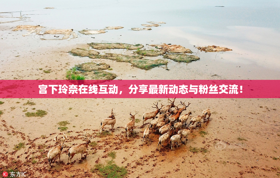 宫下玲奈在线互动，分享最新动态与粉丝交流！