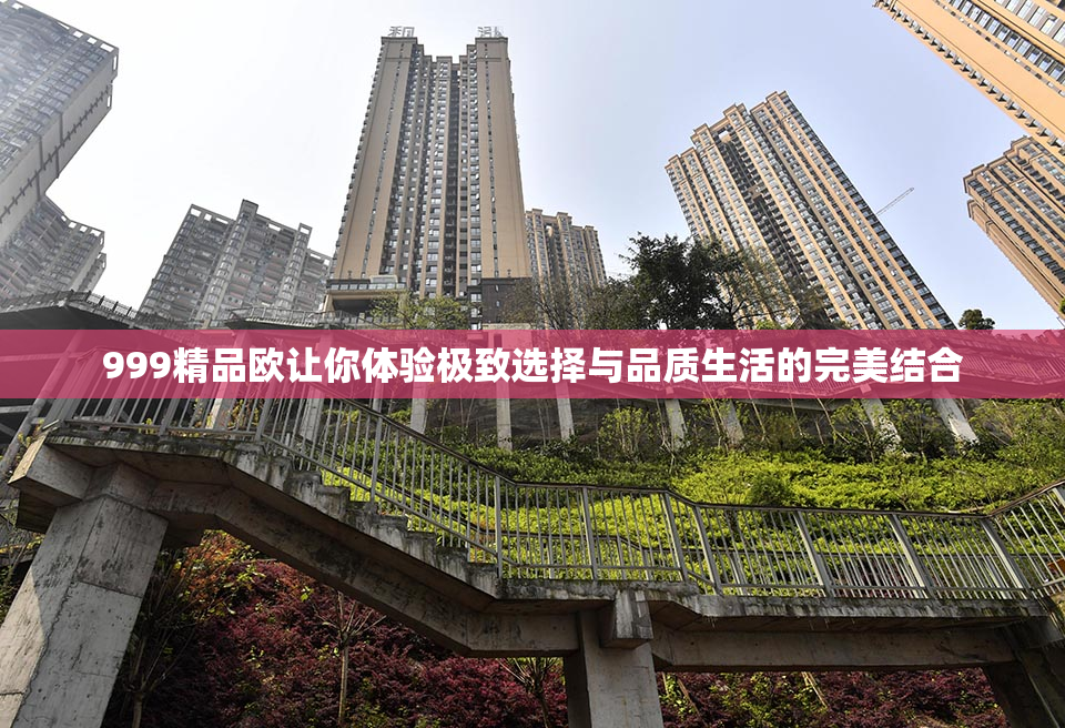 999精品欧让你体验极致选择与品质生活的完美结合