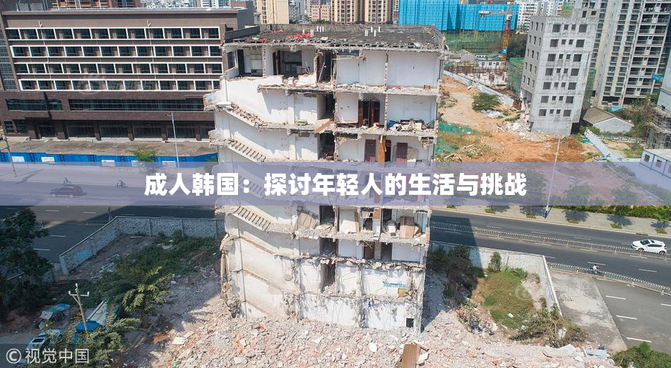 成人韩国：探讨年轻人的生活与挑战