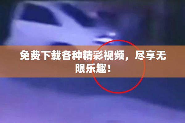 免费下载各种精彩视频，尽享无限乐趣！