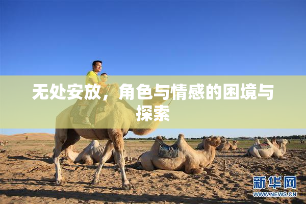无处安放，角色与情感的困境与探索