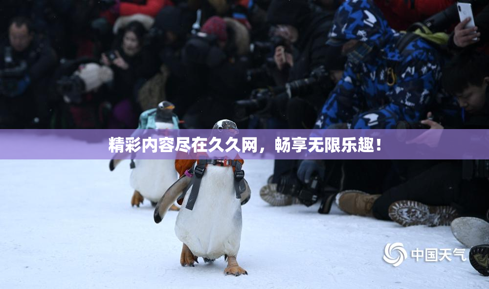 精彩内容尽在久久网，畅享无限乐趣！