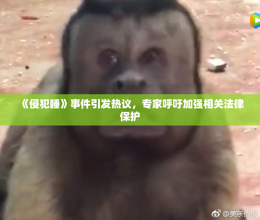 《侵犯睡》事件引发热议，专家呼吁加强相关法律保护
