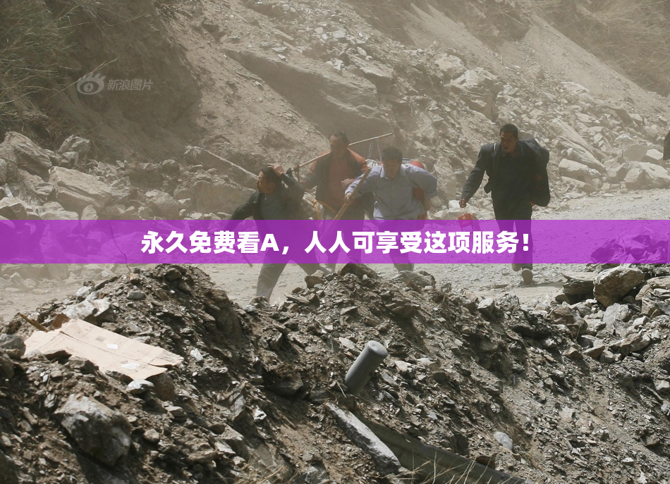 永久免费看A，人人可享受这项服务！