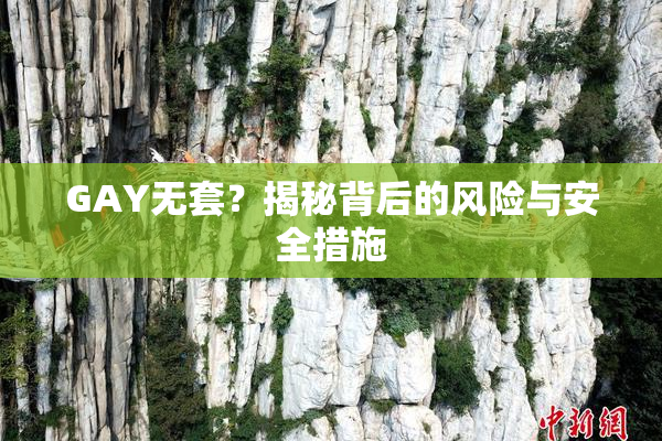 GAY无套？揭秘背后的风险与安全措施