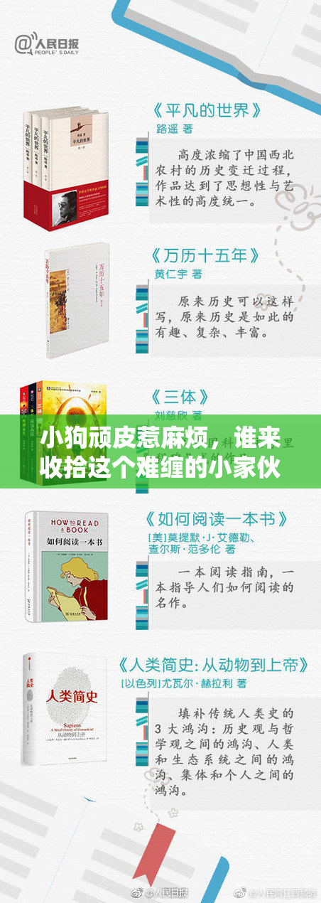 小狗顽皮惹麻烦，谁来收拾这个难缠的小家伙？