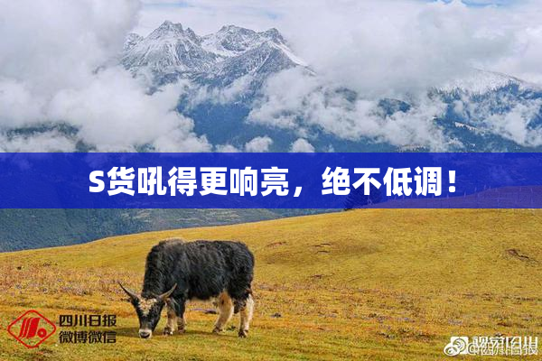 S货吼得更响亮，绝不低调！