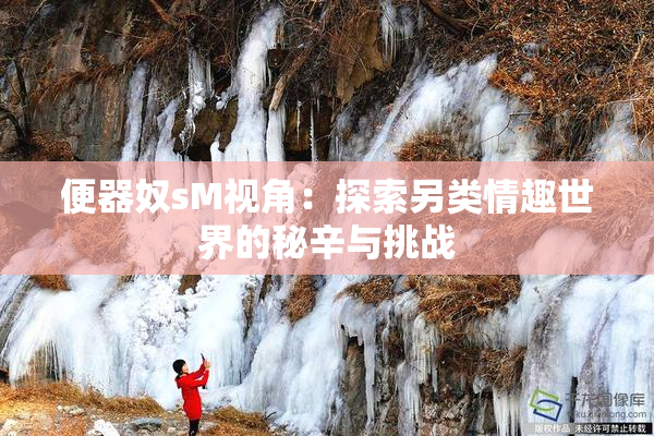便器奴sM视角：探索另类情趣世界的秘辛与挑战