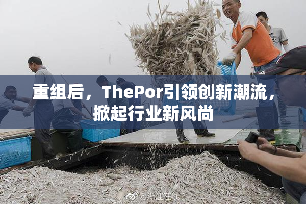 重组后，ThePor引领创新潮流，掀起行业新风尚