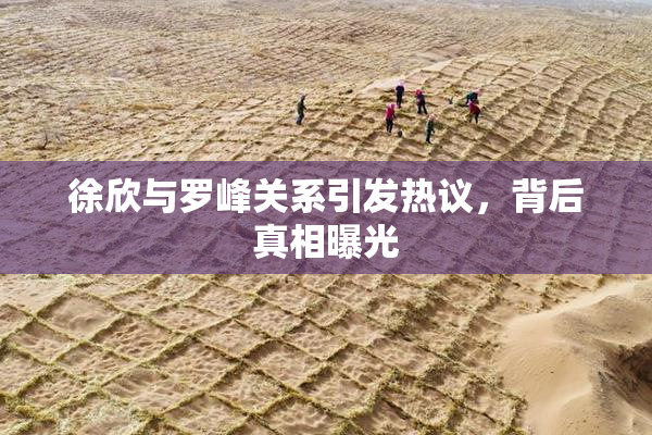 徐欣与罗峰关系引发热议，背后真相曝光