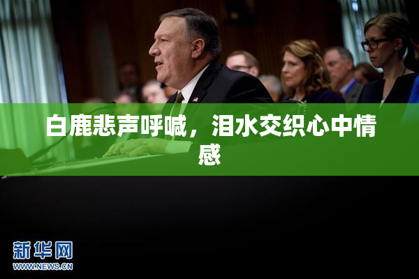 白鹿悲声呼喊，泪水交织心中情感