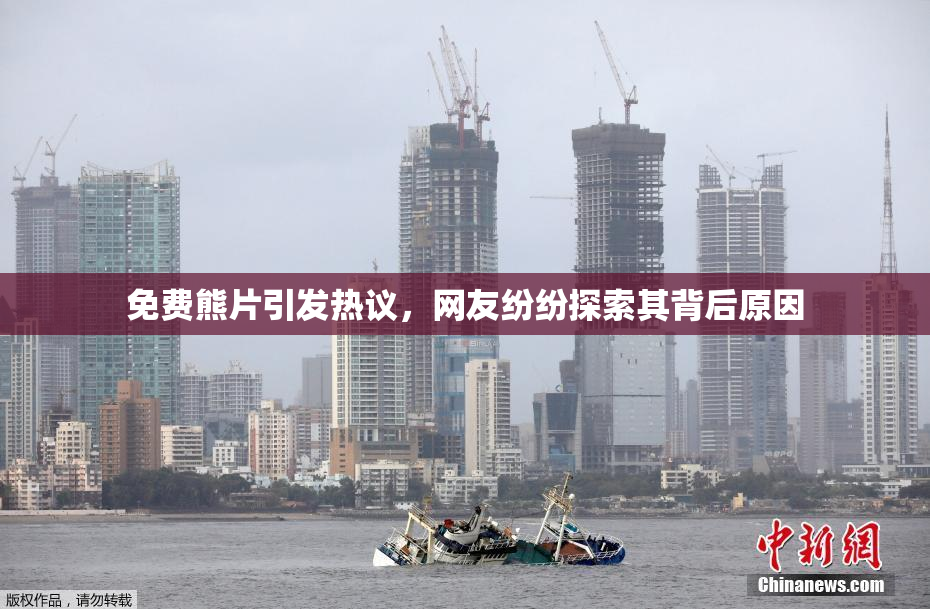 免费熊片引发热议，网友纷纷探索其背后原因