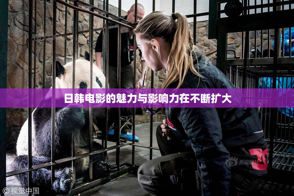 日韩电影的魅力与影响力在不断扩大
