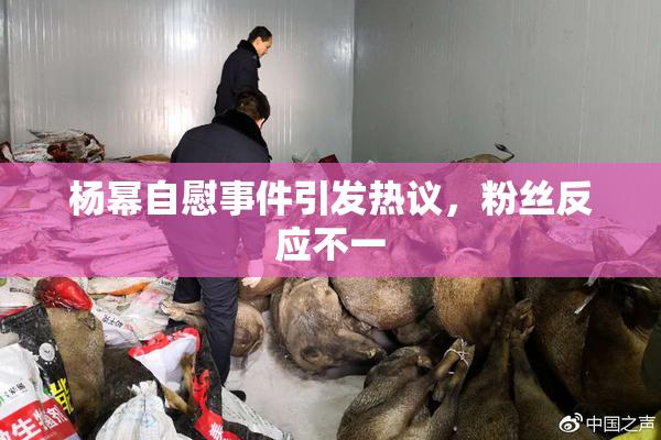 杨幂自慰事件引发热议，粉丝反应不一