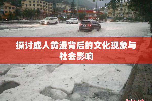 探讨成人黄漫背后的文化现象与社会影响