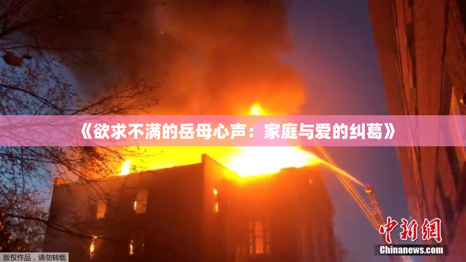 《欲求不满的岳母心声：家庭与爱的纠葛》