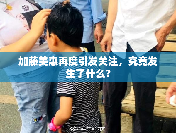 加藤美惠再度引发关注，究竟发生了什么？