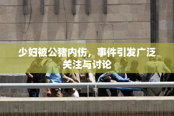 少妇被公猪内伤，事件引发广泛关注与讨论