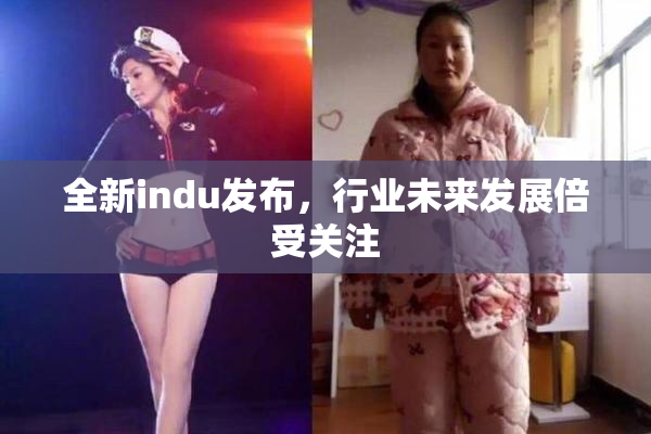 全新indu发布，行业未来发展倍受关注