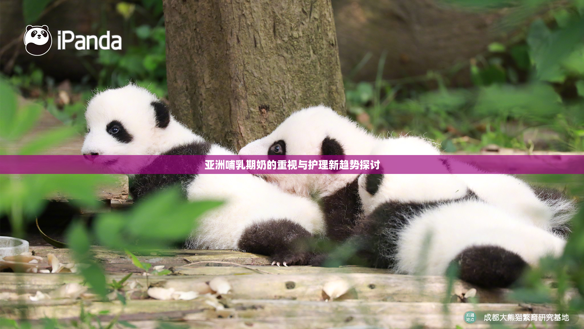 亚洲哺乳期奶的重视与护理新趋势探讨