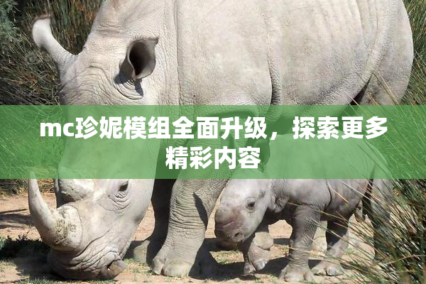 mc珍妮模组全面升级，探索更多精彩内容