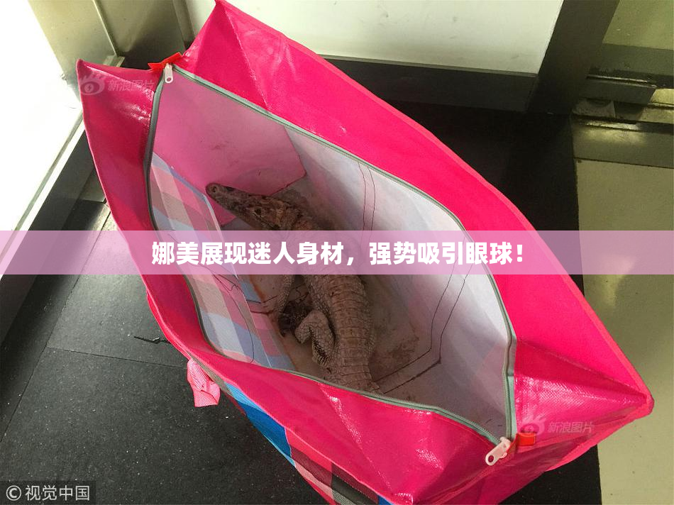 娜美展现迷人身材，强势吸引眼球！