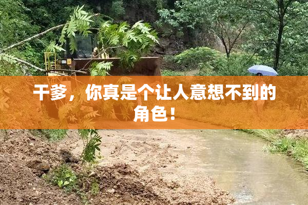 干爹，你真是个让人意想不到的角色！