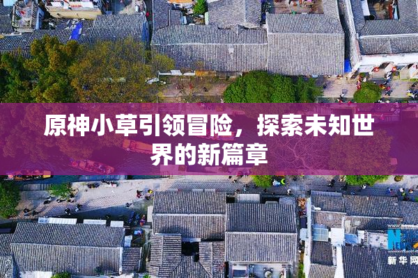 原神小草引领冒险，探索未知世界的新篇章
