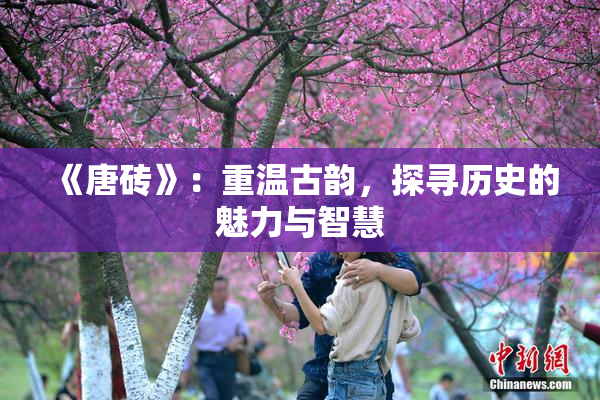 《唐砖》：重温古韵，探寻历史的魅力与智慧