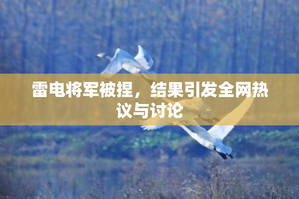 雷电将军被捏，结果引发全网热议与讨论