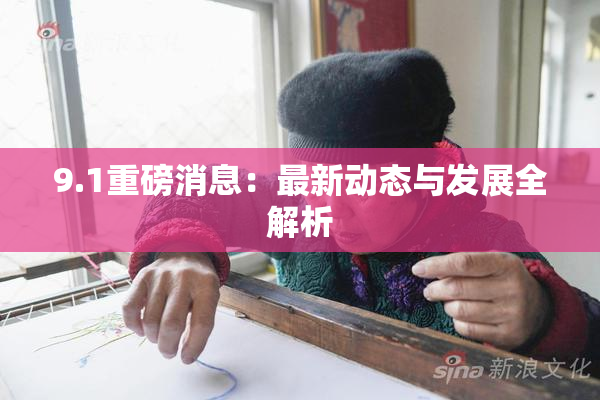 9.1重磅消息：最新动态与发展全解析