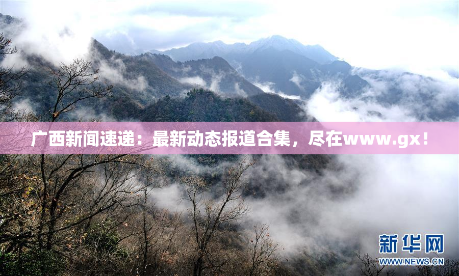 广西新闻速递：最新动态报道合集，尽在www.gx！