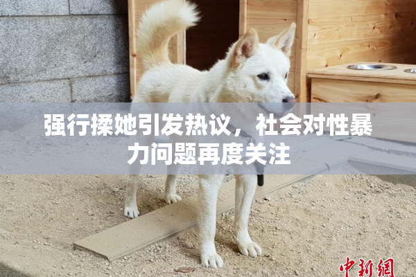 强行揉她引发热议，社会对性暴力问题再度关注