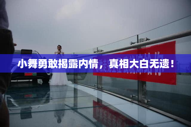 小舞勇敢揭露内情，真相大白无遗！