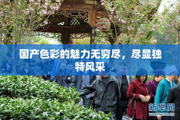 国产色彩的魅力无穷尽，尽显独特风采