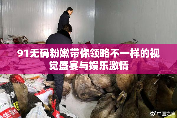 91无码粉嫩带你领略不一样的视觉盛宴与娱乐激情