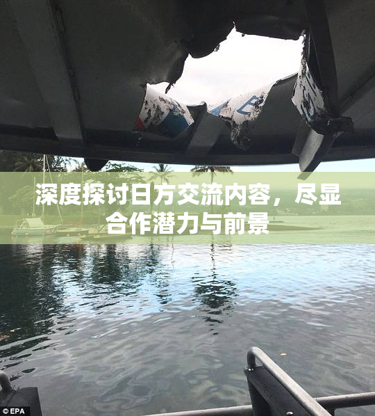 深度探讨日方交流内容，尽显合作潜力与前景