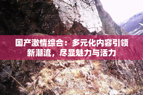 国产激情综合：多元化内容引领新潮流，尽显魅力与活力