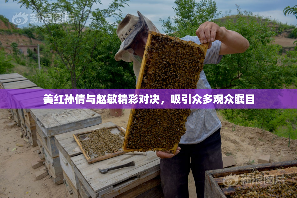 美红孙倩与赵敏精彩对决，吸引众多观众瞩目